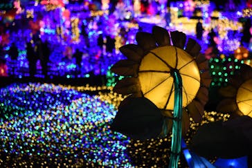 伊豆ぐらんぱる公園に投稿された画像（2022/1/10）