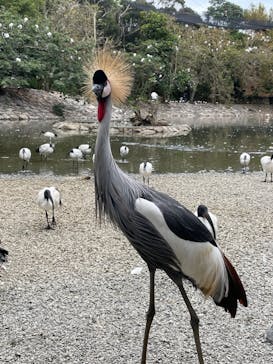 ネオパークオキナワに投稿された画像（2022/1/10）