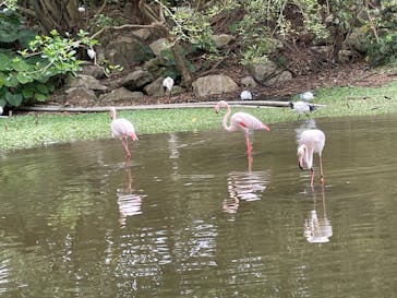 ネオパークオキナワに投稿された画像（2022/1/10）