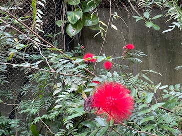 ネオパークオキナワに投稿された画像（2022/1/10）