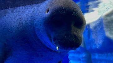 サンシャイン水族館に投稿された画像（2022/1/10）