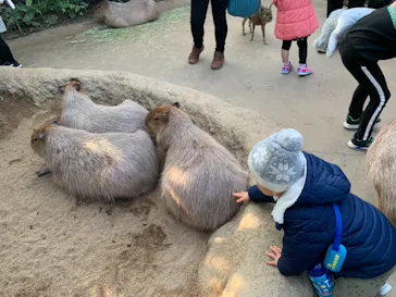 神戸どうぶつ王国に投稿された画像（2022/1/10）