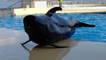 マリンワールド海の中道に投稿された画像（2022/1/10）