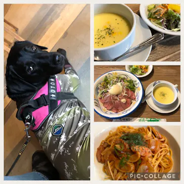 わんダフルネイチャーヴィレッジに投稿された画像（2022/1/10）