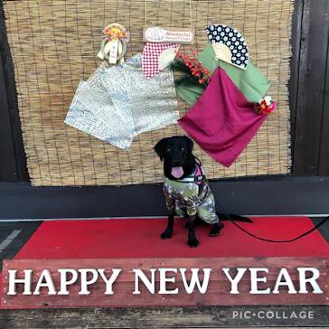 わんダフルネイチャーヴィレッジに投稿された画像（2022/1/10）