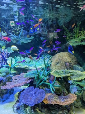 サンシャイン水族館に投稿された画像（2022/1/10）