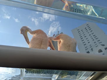 サンシャイン水族館に投稿された画像（2022/1/10）