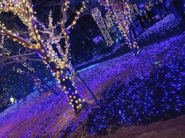 江の島シーキャンドルに投稿された画像（2022/1/10）