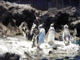 すみだ水族館に投稿された画像（2022/1/10）