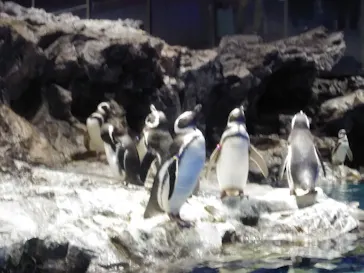 すみだ水族館に投稿された画像（2022/1/10）