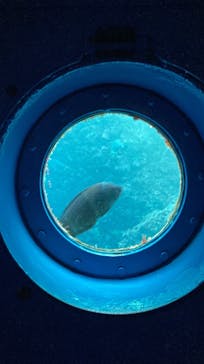 串本海中公園水族館に投稿された画像（2022/1/10）