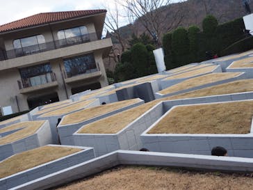 彫刻の森美術館に投稿された画像（2022/1/10）