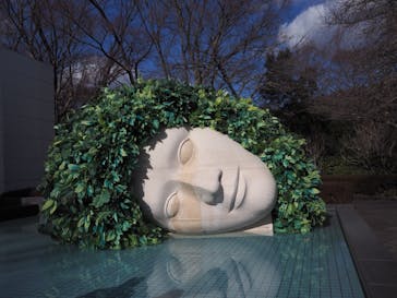 彫刻の森美術館に投稿された画像（2022/1/10）