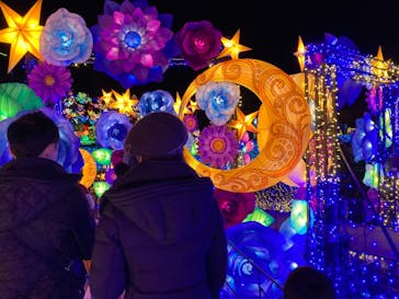 伊豆ぐらんぱる公園に投稿された画像（2022/1/10）