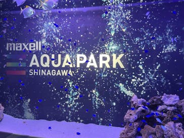 マクセル アクアパーク品川に投稿された画像（2022/1/10）