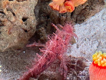 マクセル アクアパーク品川に投稿された画像（2022/1/10）