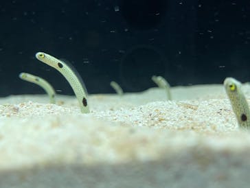 マクセル アクアパーク品川に投稿された画像（2022/1/10）