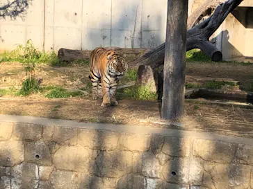 天王寺動物園に投稿された画像（2022/1/10）