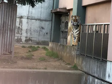 天王寺動物園に投稿された画像（2022/1/10）