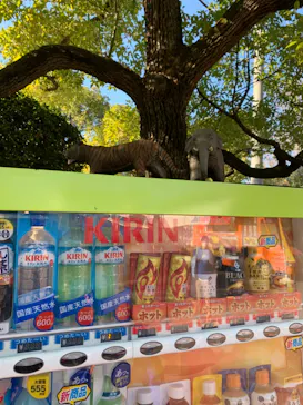 天王寺動物園に投稿された画像（2022/1/10）