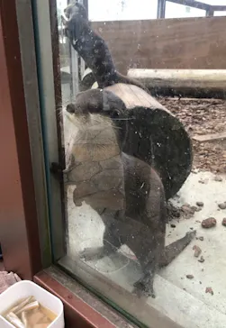 横浜・八景島シーパラダイスに投稿された画像（2022/1/10）