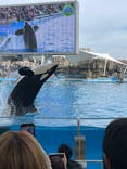 名古屋港水族館に投稿された画像（2022/1/10）