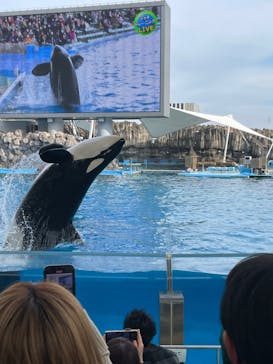 名古屋港水族館に投稿された画像（2022/1/10）