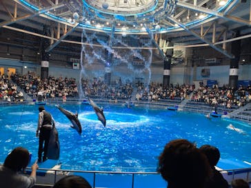 マクセル アクアパーク品川に投稿された画像（2022/1/10）