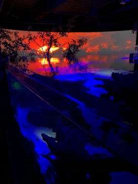 カワスイ 川崎⽔族館に投稿された画像（2022/1/10）