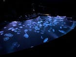 すみだ水族館に投稿された画像（2022/1/10）