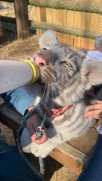 しろとり動物園に投稿された画像（2022/1/10）