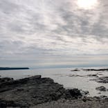 串本海中公園水族館に投稿された画像（2022/1/10）