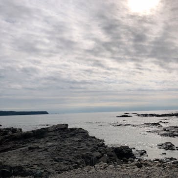 串本海中公園水族館に投稿された画像（2022/1/10）