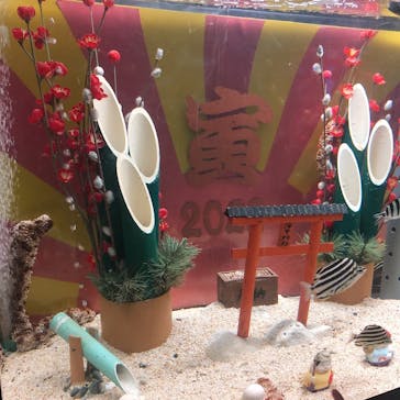 串本海中公園水族館に投稿された画像（2022/1/10）