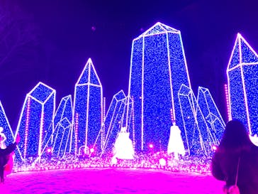 さがみ湖MORI MORIに投稿された画像（2022/1/10）