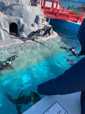 南知多ビーチランド＆南知多おもちゃ王国に投稿された画像（2022/1/10）