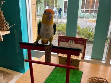 Moff animal cafe iias つくば店に投稿された画像（2022/1/10）