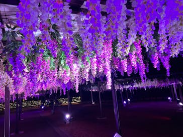 東京メガイルミに投稿された画像（2022/1/10）