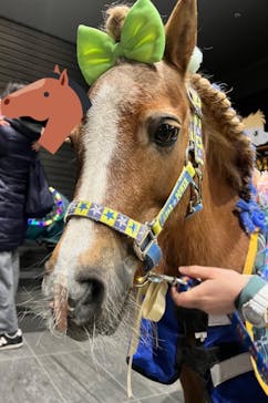 東京メガイルミに投稿された画像（2022/1/10）