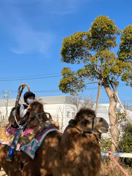 神戸どうぶつ王国に投稿された画像（2022/1/10）