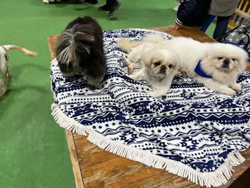 神戸どうぶつ王国に投稿された画像（2022/1/10）