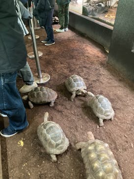 体感型動物園iZooに投稿された画像（2022/1/10）