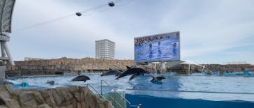 名古屋港水族館に投稿された画像（2022/1/10）