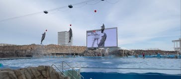 名古屋港水族館に投稿された画像（2022/1/10）