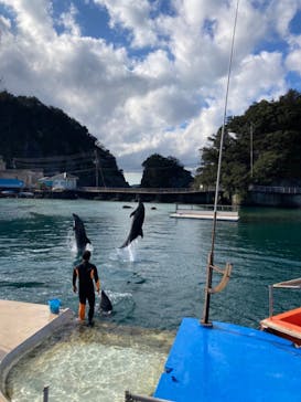 下田海中水族館に投稿された画像（2022/1/10）
