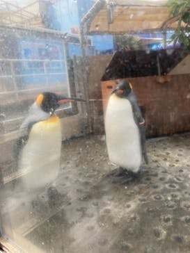 下田海中水族館に投稿された画像（2022/1/10）