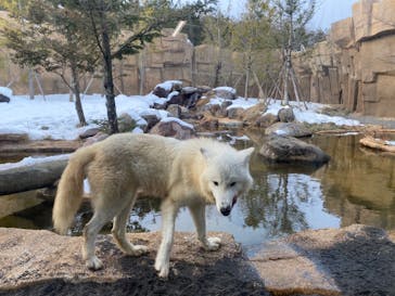 那須どうぶつ王国に投稿された画像（2022/1/10）