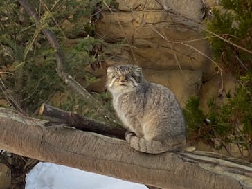 那須どうぶつ王国に投稿された画像（2022/1/10）