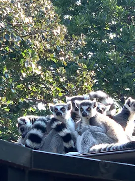 神戸どうぶつ王国に投稿された画像（2022/1/10）