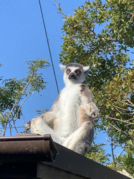 神戸どうぶつ王国に投稿された画像（2022/1/10）